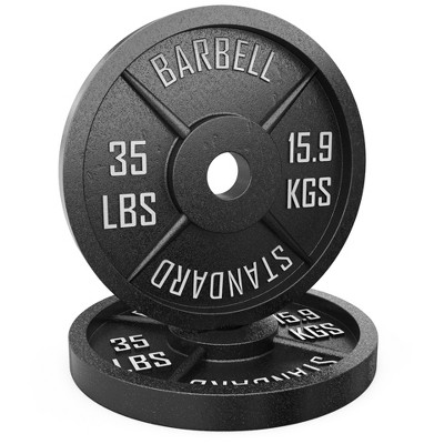 Synergee Standard Metal Weight Plates - 35lb Pair : Target