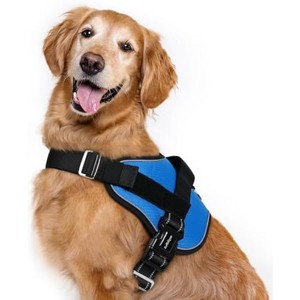 rabbitgoo Dog Harness for Large, Easy On Pet Vest with One Buckle, No Pull Adjustable Service Harness with Training, Blue, XL - 1 of 1