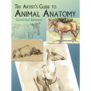 The Artist's Guide to Animal Anatomy - (Dover Anatomy for Artists) by  Gottfried Bammes (Paperback) - 1 of 1