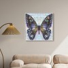 Art Remedy On Her Way Colorful buterfly and flowers wall art Framed - 2 of 4