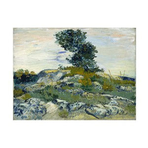Trademark Fine Art -Van Gogh 'The Rocks' Canvas Art - 1 of 4