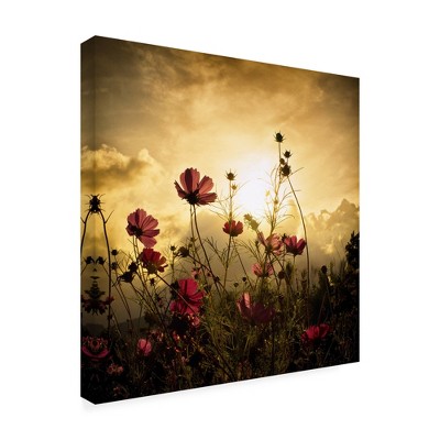 Trademark Fine Art -Christian Marcel 'Watching The Sun' Canvas Art