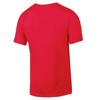 NHL Detroit Red Wings Men's Short Sleeve T-Shirt - 2 of 3