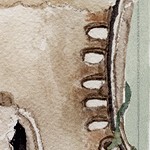 farmhouse gray