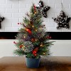 2' Pre-lit Colonial Potted Artificial Christmas Tree Warm White Lights - National Tree Company - 2 of 4