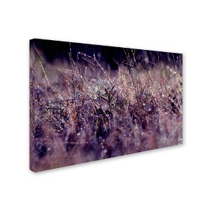 Beata Czyzowska Young 'Purple Rain' Floating Brushed Aluminum Art - 1 of 3