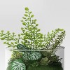 Round Wood Terrarium - Threshold™ - 3 of 4