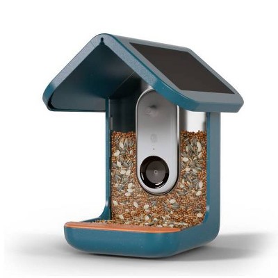 Blue Solar-Powered Smart Bird Feeder with Camera and Glass Enclosure