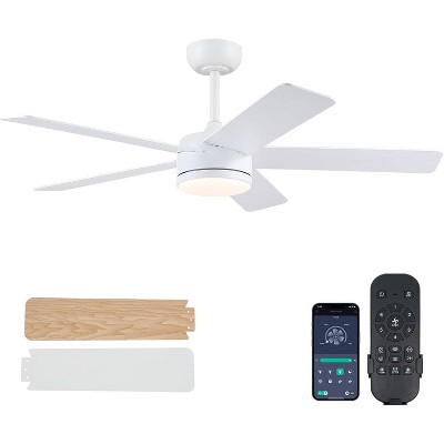 46 Inches Downrod ceiling Fan with Light,Reversible Wind,Timer Setting
