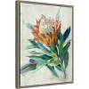 Amanti Art Protea by Danhui Nai Canvas Wall Art Print Framed 18 x 24-in. - 3 of 4