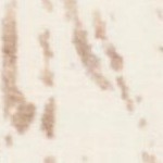 ivory/brown