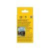 GE 2pk 100W Ultra Bright LED CAC Decorative Light Bulbs Daylight - 2 of 4
