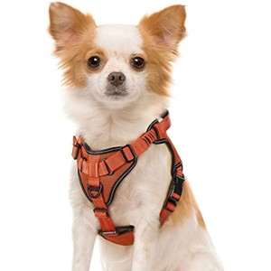 rabbitgoo Dog Harness, No Pull Dog Vest Harnesses with Bungee Shoulder Straps, Reflective for Large Medium Small Dogs - 1 of 1