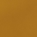 seth freakin rollins