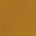 seth freakin rollins