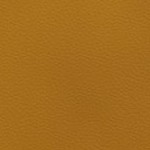 seth freakin rollins