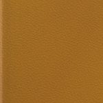 seth freakin rollins