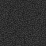 tampa bay buccaneers