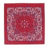 CTM Extra Large 27 Inch Rustic Paisley Print Bandana - 4 of 4