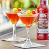 Master of Mixes Manhattan Mixer - Ready to Use - 1 Liter Bottle (33.8 Fl Oz) - Mixer Perfect for Bartenders and Mixologists - 3 of 3
