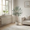 COZONY 5/6/7 FT Artificial Olive Tree in Pot, Faux Potted Plant with Natural Wood Trunk for Indoor Decor - 4 of 4