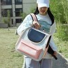 BABYYER Pet Cute Foldable Capsule Backpack for Small, Medium Cats, Puppies, Dogs, Transparent, Breathable, Heat Resistant Carry Bag - 2 of 4
