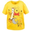 Disney Winnie the Pooh Graphic T-Shirt and Shorts Outfit Set Toddler - image 3 of 4