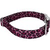 Country Brook Petz Premium Dog Collar - Animal Prints Collection - 3 of 4