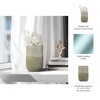 Decorative Glass Vase - Modern Casual Design - Decorative Accent for Home, Office, Bedroom, or Living Room Decor - 10" Green - 3 of 4