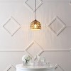 JONATHAN Y Campana Bohemian Modern Woven Rope/Iron LED Pendant - 3 of 4
