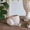 NAYSAYE Planter Decorative Sand and Cement Snail Planter with Textured Beige Finish for Indoor Outdoor Garden, Beige, 9.5"*8.3"*6" - 4 of 4