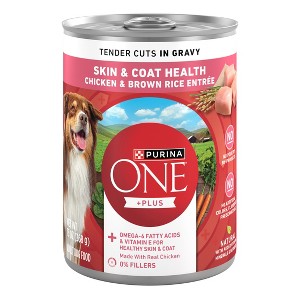 Purina ONE Skin and Coat Chicken and Rice Flavor Wet Dog Food - 13oz - 1 of 4
