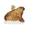 Old World Christmas Glass Blown Holiday Ornament For Tree, Walrus - 2 of 4
