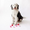 Midlee Valentine Plush Balls Dog Toy - Set of 6 - 2 of 4