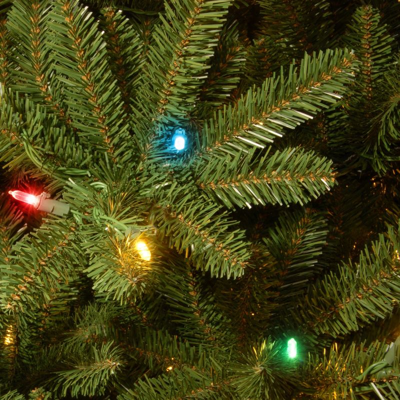 National Tree Company 7.5 ft. Natural Fraser Slim Fir Tree with Multicolor Lights, 4 of 6