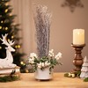 Northlight Natural Twig Bundle Christmas Decoration - 15" - 2 of 4