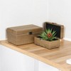 Cheung's Sable Set of 2 Boxes with Silver Handles - Brown - 2 of 4