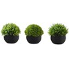 NicBex Set of 3 Succulent in Cement Pots, 6"H Faux Fake Plants Artificial Plants Indoor, Tabletop Greenery for Desk, Shelf & Windowsill Decor - 2 of 4