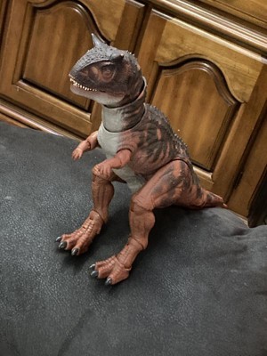 Jurassic World Hammond Collection Carnotaurus Action Figure : Target