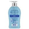 Softsoap Seasonal Back to Cool Liquid Hand Soap - 11.25oz - 2 of 4