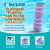Hurricane Filters - HF9415-01P Platinum Purple Pool Filter Cartridge - Replacement for Pleatco PAP150, Unicel C-9415, Filbur FC-0687 and More - 2 of 4