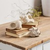 Sea Shell Filler Décor (Set of 12) - 2 of 4