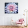 Stupell Industries Dew Kissed Pink Chrysanthemum Canvas Art - 3 of 4