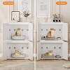Cat Litter Box Enclosure, Wooden Cat Washroom Furniture with Barn Door Hidden Litter Box Furniture Pet House - 2 of 4