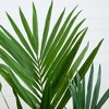 Nearly Natural 4-ft Kentia Palm Silk Tree - 3 of 4