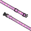 The Worthy Dog Skeletons Dog Collar - 2 of 4