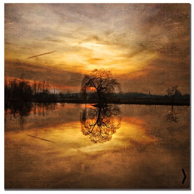 Trademark Fine Art -Philippe Sainte-Laudy 'Ball Gold' Canvas Art