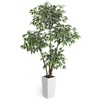 5FT/6FT Artificial Ficus Tree - White Planter, Natural Trunks, White-Edged Leaves - Ideal for Indoor Decor - 2 of 4