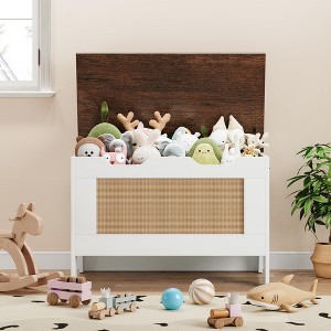 Storage Chest, 30 in /39.4 in/24.8 in/ Toy Chest with Lids, Wood Rattan Toy Box for Boys Girls with Safety Hinge - 1 of 4