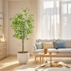 Artificial Lemon Tree With Realistic Trunks Leaves, Faux Lemon Fruit Tree,Pre Potted Faux Greenery Plants For Home Office Decor Indoor Outdoor - 4 of 4